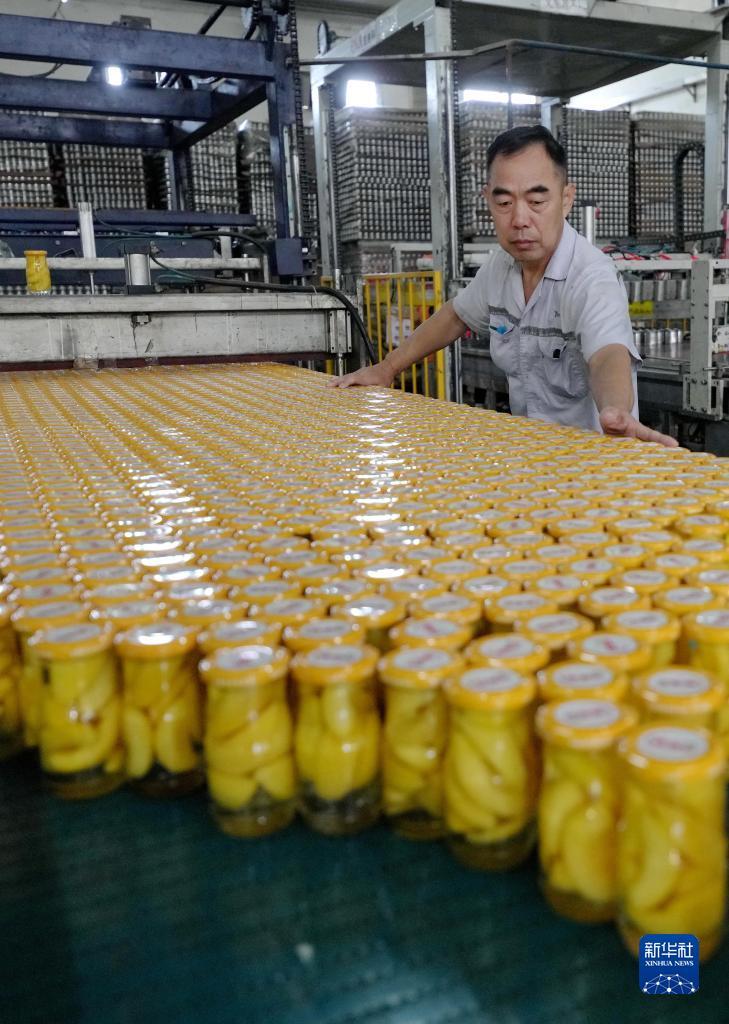 必赢集卡活动交流帖